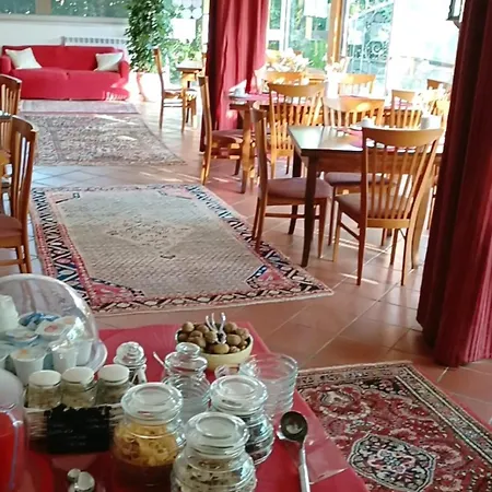 Le Vedute