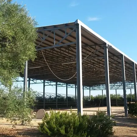 Le Vedute