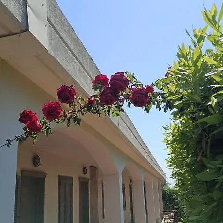 Farm stay Le Vedute Bisceglie
